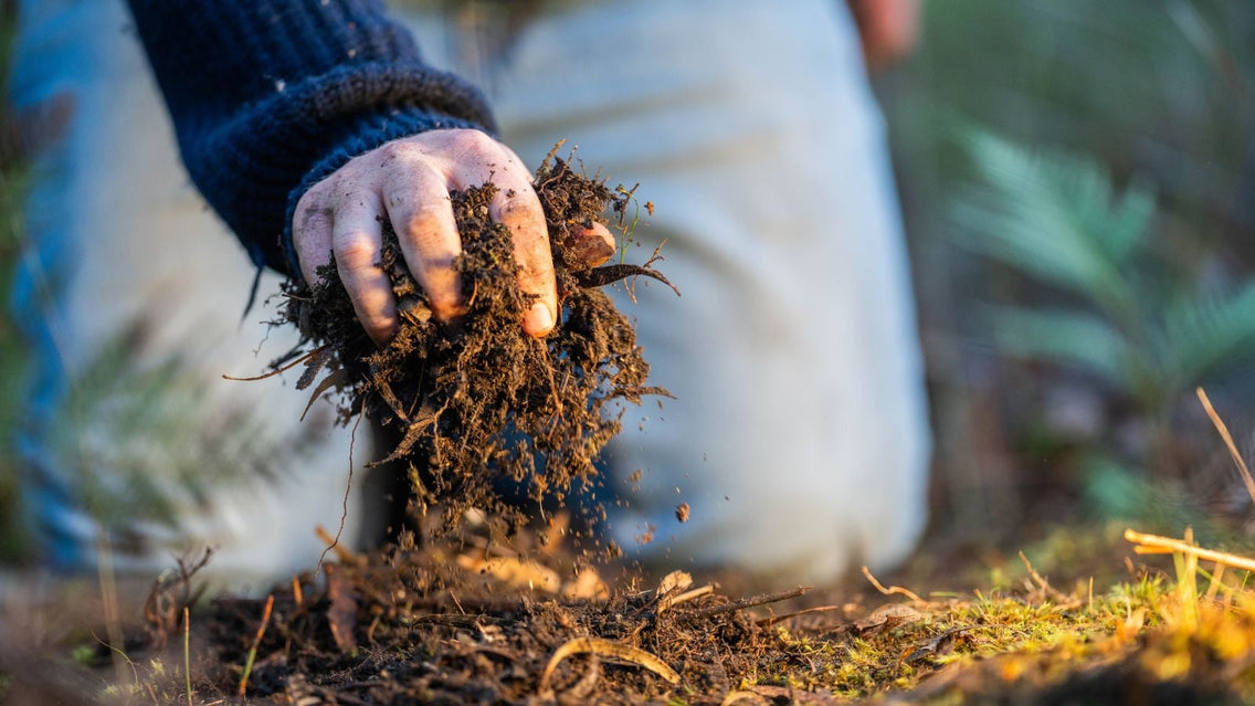 A close-up shot of a kneeling person, in the process of providing compost to dirt, showcasing how to feed your soil microbiome