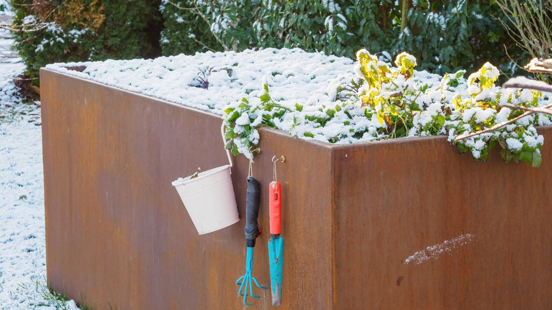 A covered raised beds winter signified by the layer of snow on the bed, with some tools dangling from the side of the raised bed