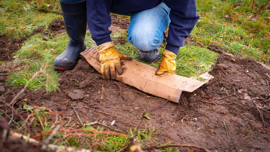 A shot of a person in the process of rolling a carton in a yare area, showcasing cardboard safe garden
