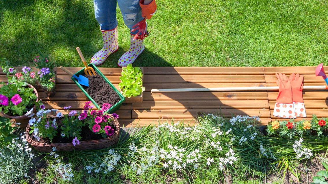 An overhead shot of a person getting ready for March garden tasks