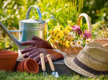 A shot of several different tools and equipment for start seeds outdoors