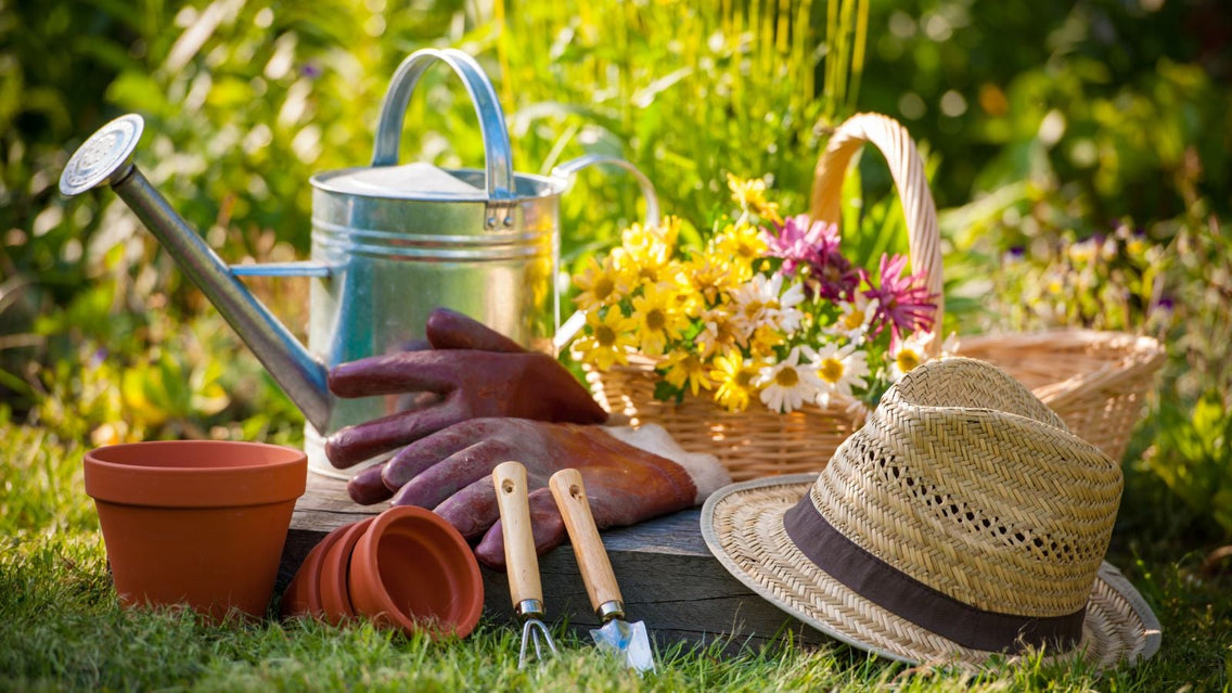 A shot of several different tools and equipment for start seeds outdoors
