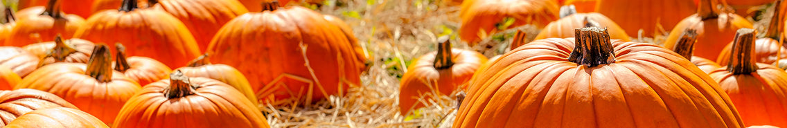Pumpkin: Sow and Grow Guide