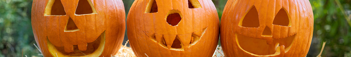 Pumpkins: Keeping Carved Pumpkins Fresh