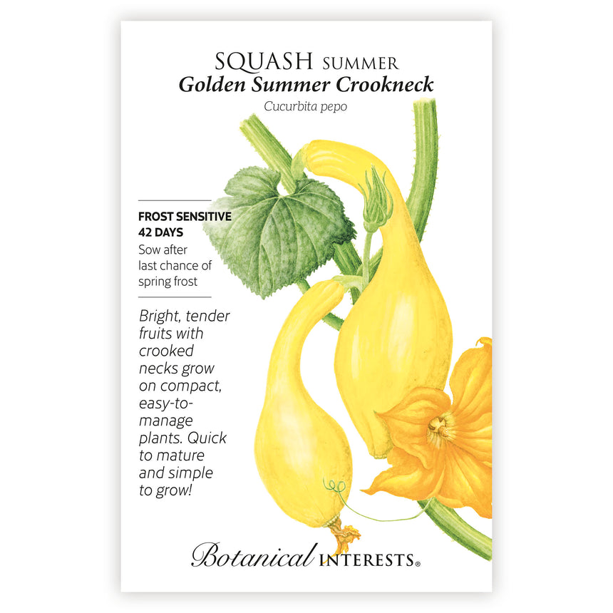 Golden Summer Crookneck Summer Squash seed packet with botanical illustration and botanical information.