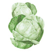 Botanical illustration of two round pale green Copenhagen Market cabbages with tightly wrapped, veined outer leaves, shown against a plain white background.