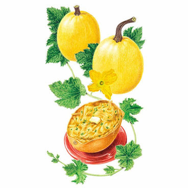 Botanical illustration of two whole yellow spaghetti squash with vines and a yellow blossom, alongside a halved squash on a red plate showing its cooked, shredded golden strands topped with a pat of butter.