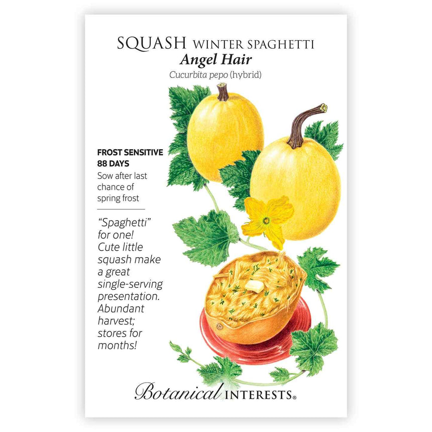 Seed packet for Angel Hair Winter Spaghetti Squash showing an illustration of two small round yellow squash on the vine with a yellow blossom, alongside one halved and served on a red plate filled with spaghetti-like strands topped with butter and herbs, with text noting it's frost sensitive, 88 days to maturity, and describes the squash as a single-serving harvest that stores for months.