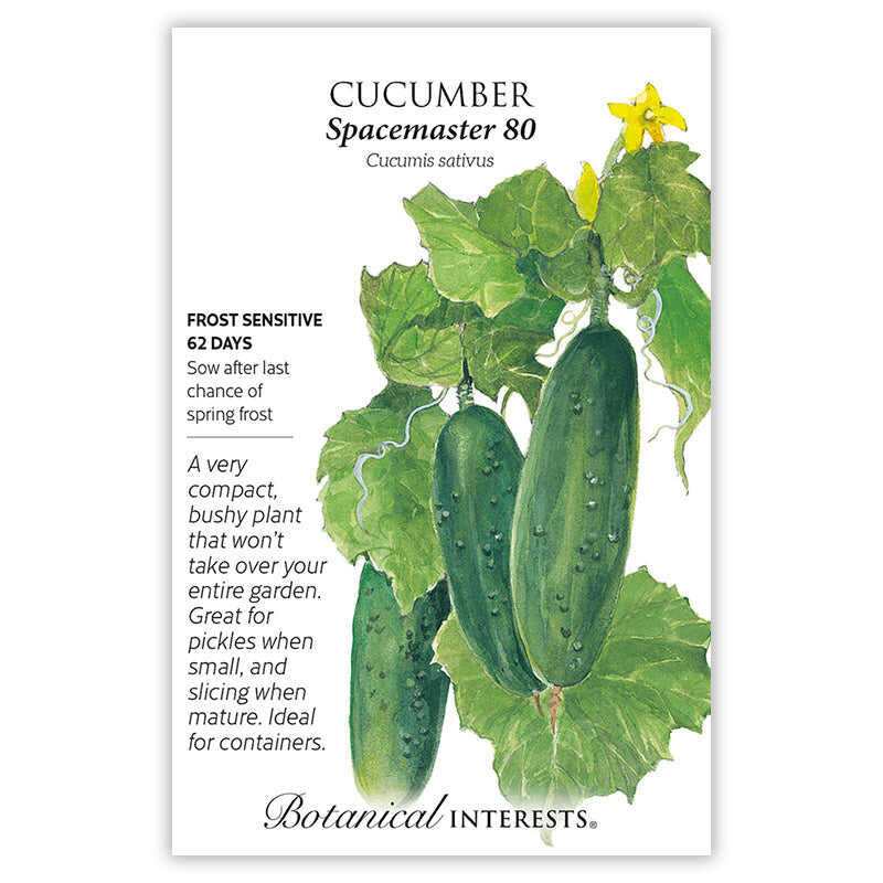 Seed packet for Spacemaster 80 Cucumber illustrating dark green, bumpy-skinned fruit hanging among broad leaves with curling tendrils and yellow blossoms, plus printed text noting it's frost sensitive, 62 days to maturity, compact and bushy, suited for pickling, slicing, and containers.