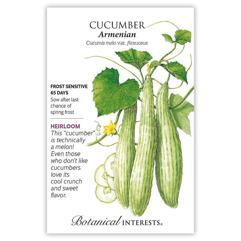 Seed packet for Armenian cucumber with botanical illustration and details.