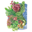 Detailed botanical illustration of mixed leaf lettuce varieties including green and red oak leaf, butterhead, and frilly lettuce styled on a blue and white decorative plate with green olives.