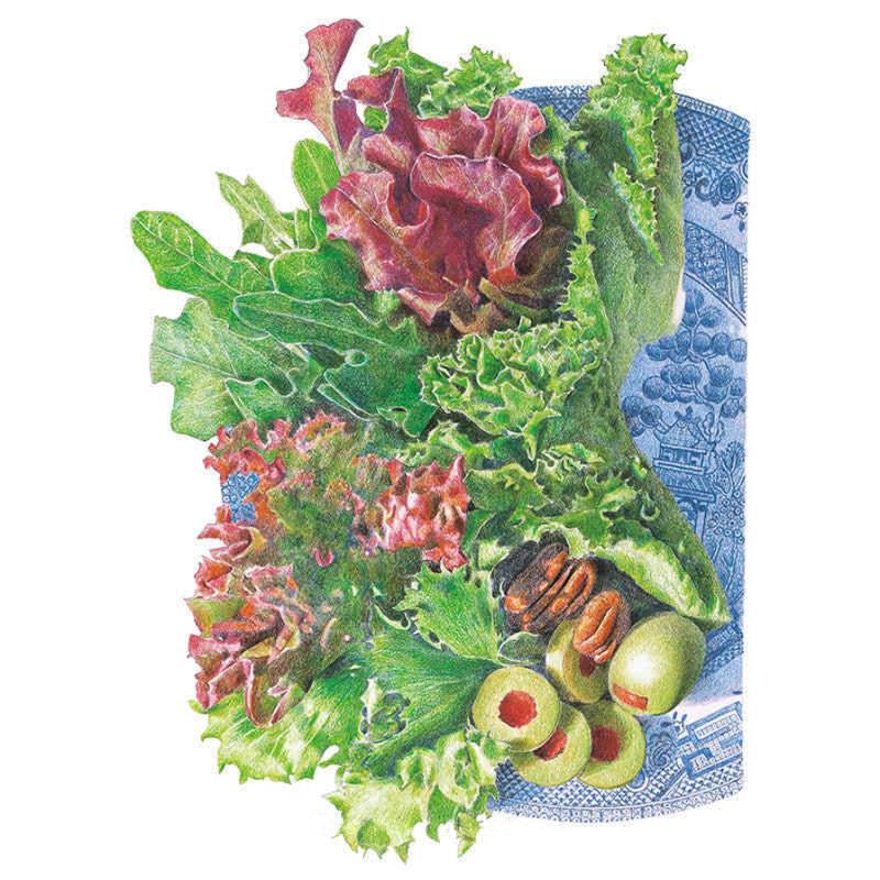Detailed botanical illustration of mixed leaf lettuce varieties including green and red oak leaf, butterhead, and frilly lettuce styled on a blue and white decorative plate with green olives.