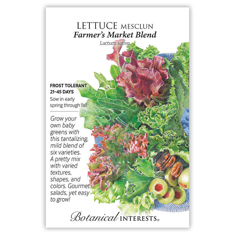 Front of a Botanical Interests seed packet for Farmer's Market Blend Mesclun Lettuce Seeds featuring a botanical illustration of mixed baby lettuce leaves styled with green olives on a decorative plate.