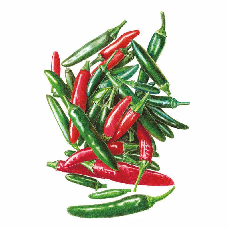 Illustration of a jumbled pile of slender serrano chile peppers, most still glossy green with a few fully ripened to bright red, shown against a plain white background.
