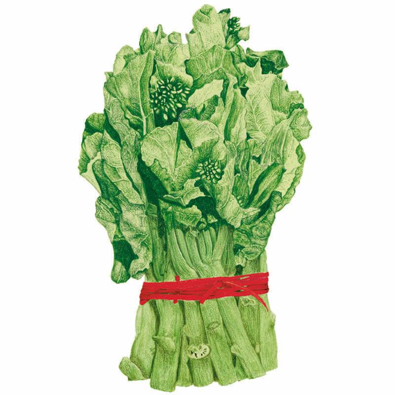 Illustration of a bundled bunch of Chinese broccoli (kailaan), showing thick pale-green stalks with small budding florets and broad ruffled leaves, tied together with red raffia against a white background.