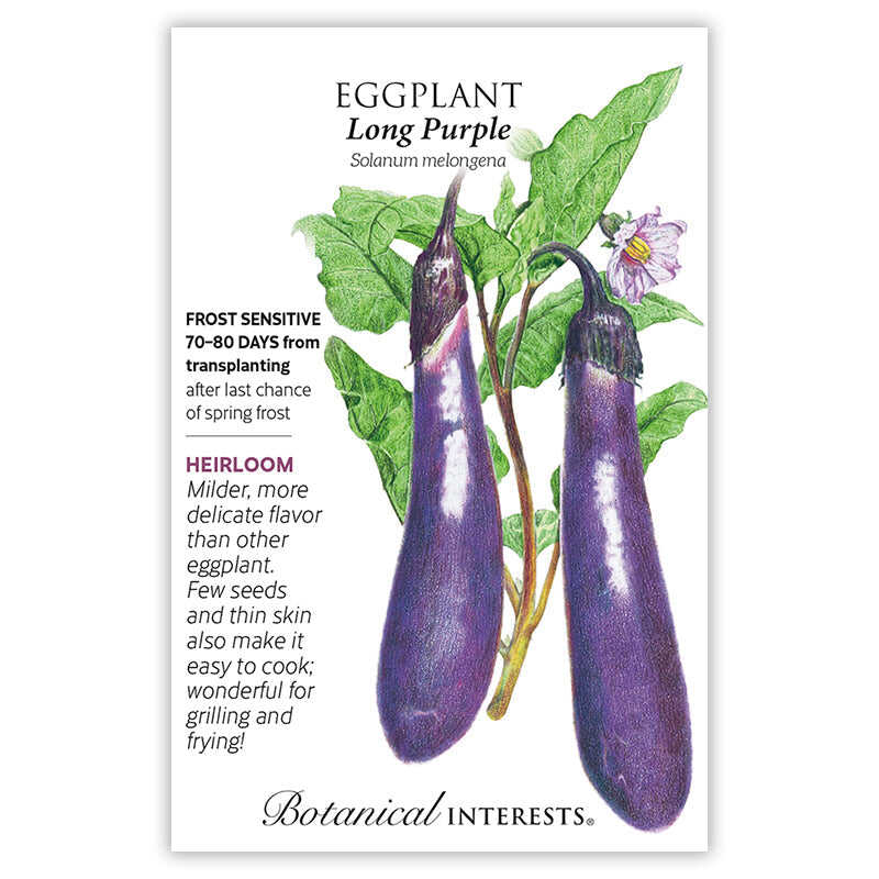 Front of an organic Botanical Interests seed packet for Long Purple Eggplant Seeds featuring heirloom description and a botanical illustration of two slender purple eggplants on the vine.