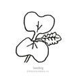 Line drawing of a gai choy mustard seedling, showing two rounded cotyledon leaves and one emerging serrated true leaf on thin stems, labeled "Seedling."