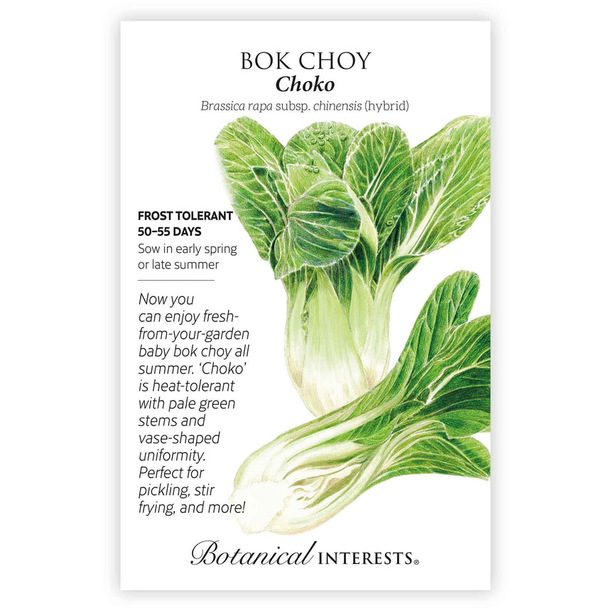Seed packet for Bok Choy Choko featuring a detailed illustration of two pale green, vase-shaped bok choy heads with crinkled leaves, alongside printed text noting frost tolerance, 50–55 day maturity, sowing timing, and a description of its heat-tolerant, uniform growth suited for pickling and stir-frying.