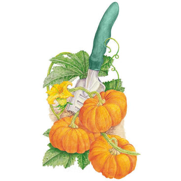 Watercolour illustration of three small ridged orange Jack Be Little pumpkins with curling vines, lobed green leaves, and a yellow squash blossom arranged around a green-handled garden trowel.