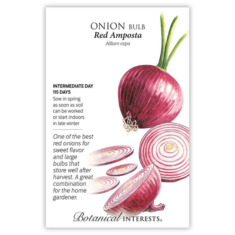 Seed packet for Red Amposta Bulb Onion illustrating a whole magenta-skinned onion with green stalks alongside sliced rings showing pale pink and white layers, with printed text noting intermediate day length, 115 days to maturity, spring or late-winter sowing, and a description praising its sweet flavor and storage quality.