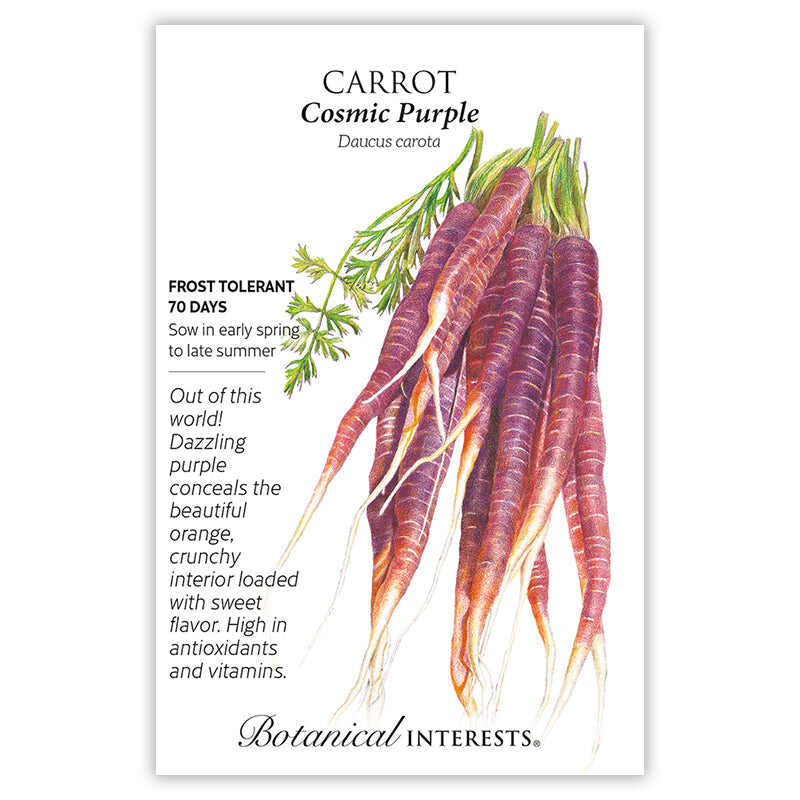 Seed packet for Cosmic Purple carrot showing an illustrated bundle of deep purple, orange-fleshed carrots with feathery green tops, alongside text noting frost tolerance, a 70-day growing period, and a description praising their sweet, crunchy, vitamin-rich interior.