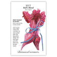 Botanical Interests seed packet for Bull's Blood Beet, illustrated with a bundle of deep red beetroots and crinkled crimson leaves tied with blue ribbon, with printed text noting frost tolerance, a 50-60 day harvest, and sowing instructions.