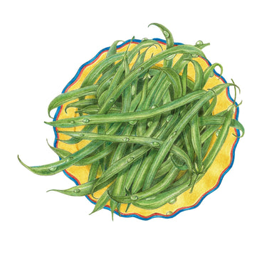 Illustration of slender French filet green beans, still bearing water droplets, piled high on a yellow plate with a scalloped blue and red rim.