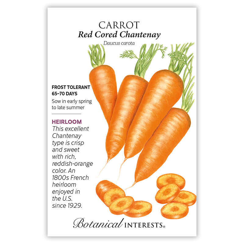 Botanical Interests seed packet for Red Cored Chantenay Carrot, illustrated with four tapered, blunt-ended orange carrots with leafy green tops and sliced cross-sections, alongside text noting it's a frost-tolerant heirloom variety maturing in 65-70 days, sown early spring to late summer.