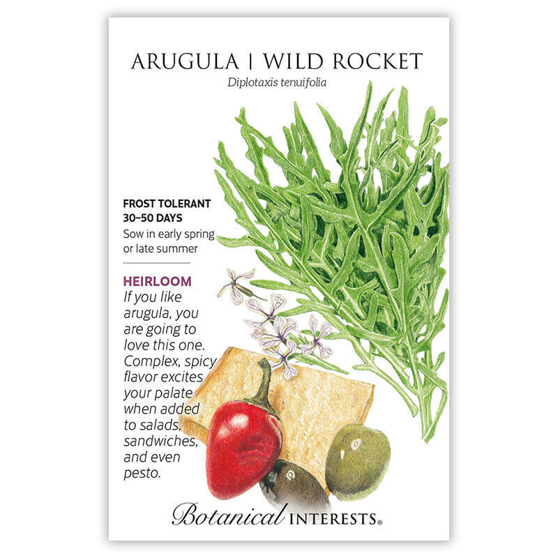 Botanical Interests heirloom Arugula/Wild Rocket seed packet illustrating deeply lobed green leaves, small white flowers, a wedge of cheese, olives, and a red pepper, with text noting it's frost tolerant, ready in 30–50 days, and describing its complex, spicy flavor for salads and pesto.