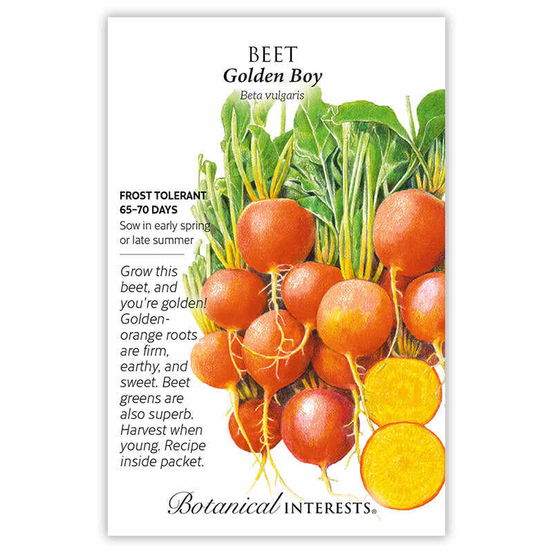 Botanical Interests seed packet for Golden Boy Beet, illustrated with round orange-skinned beets bunched with leafy green tops and a cross-section showing golden-yellow flesh, alongside text noting frost tolerance, a 65–70 day harvest, and growing tips.