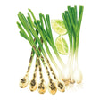 Solbunch Bunching/Scallion Onion with lime wedges on a white background