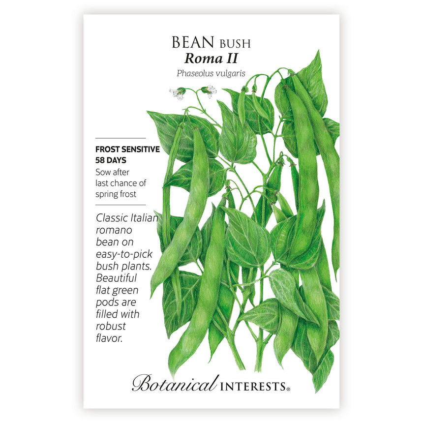 Seed packet for Bean Bush Roma II with botanical illustration and botanical information.