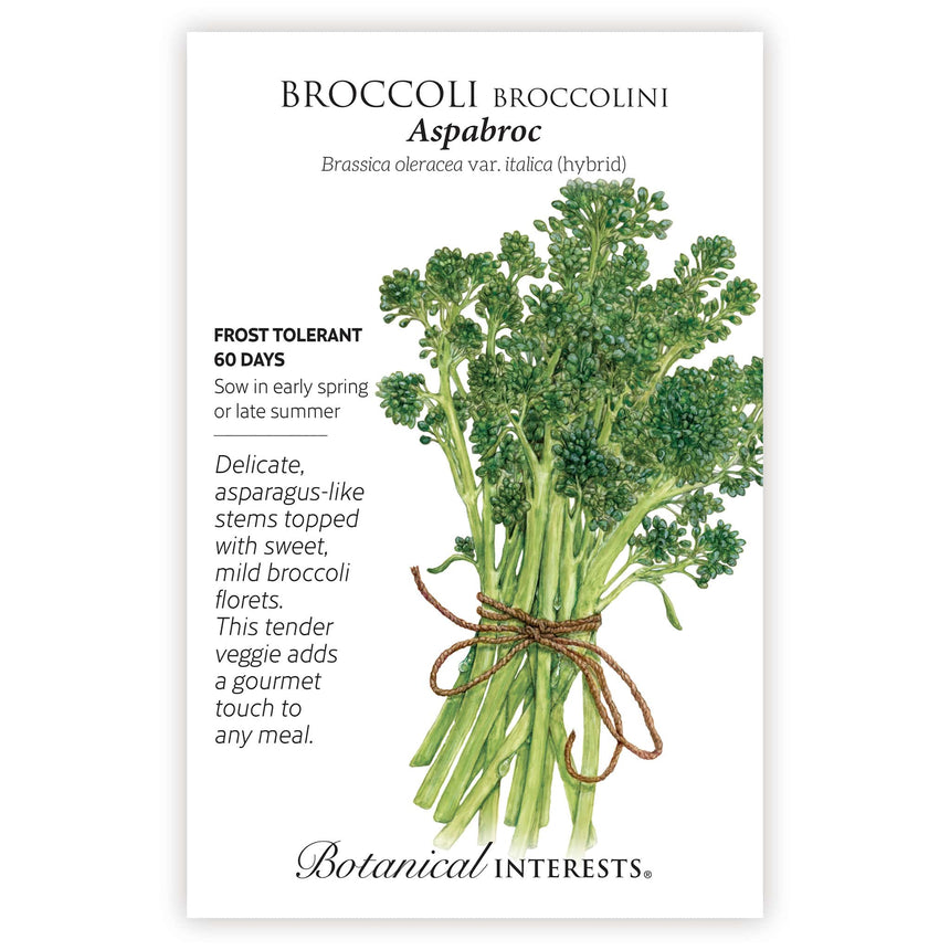 Aspabroc Broccolini seed packet with botanical information and the illustration of the broccolini
