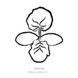 Black and white line drawing illustration of a young squash seedling with broad rounded leaves, labeled "Seedling" with the Botanical Interests LLC copyright logo below