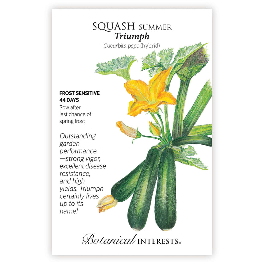 Triumph Summer Squash seed packet with botanical information and illustration of the its fruit