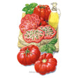 Illustration of Costoluto Genovese Pole Tomatoes on a cutting board with a bottle of olive oil and basil leaves.