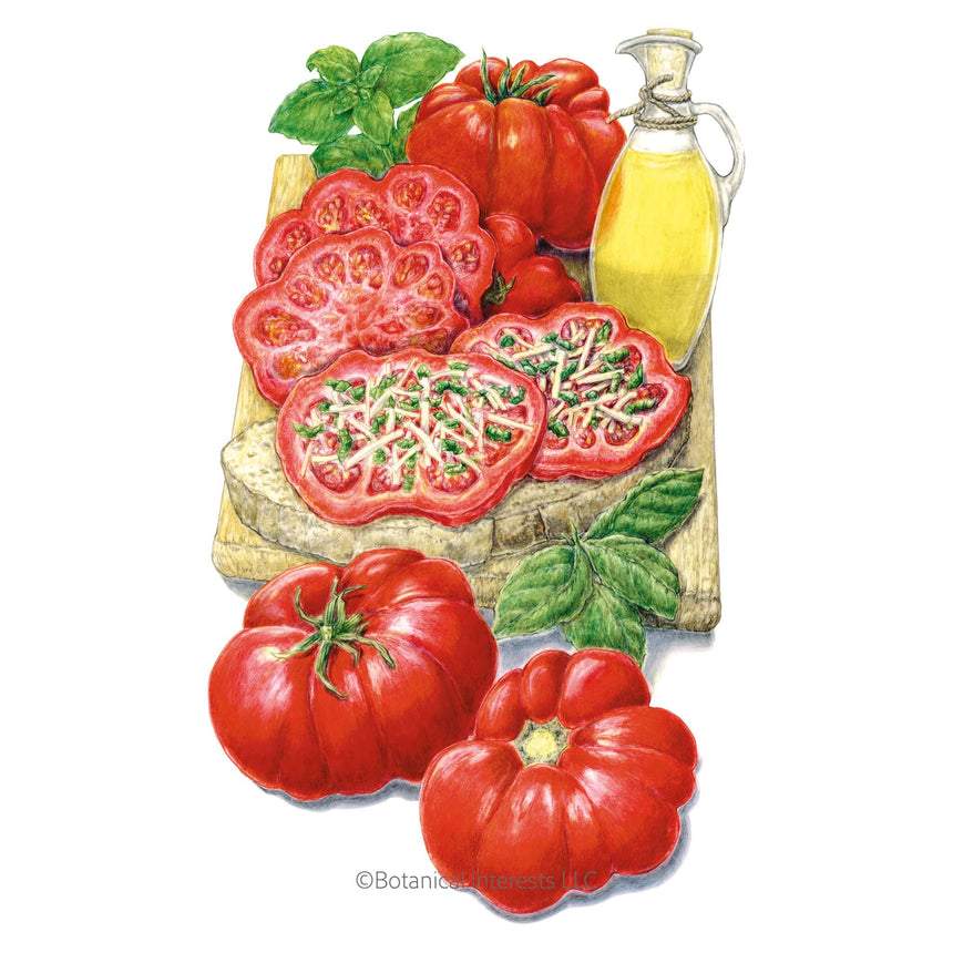 Illustration of Costoluto Genovese Pole Tomatoes on a cutting board with a bottle of olive oil and basil leaves.