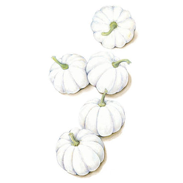 Illustration of five small white pumpkins with deeply ribbed skin and curved green stems, arranged in a loose vertical cluster on a plain white background.