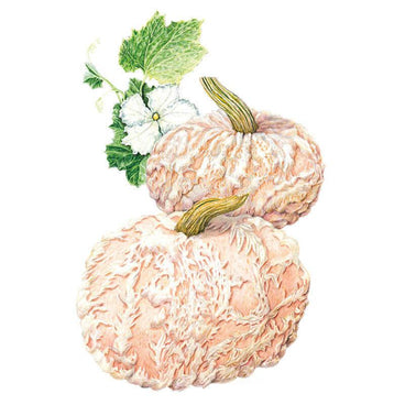 Botanical illustration of two Galeux d'Eysines pumpkins with warty, salmon-pink skin covered in rough tan patches, accompanied by a leafy vine tendril and a small white blossom above.