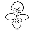 Black and white line drawing of Pennsylvania Dutch Crookneck Winter Squash seedling with 'Seedling' text.
