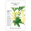 Front of a Botanical Interests "Squash Summer Chiffon" seed packet displaying a botanical illustration of pale yellow squashes growing on leafy green vines with yellow flowers on a white background.