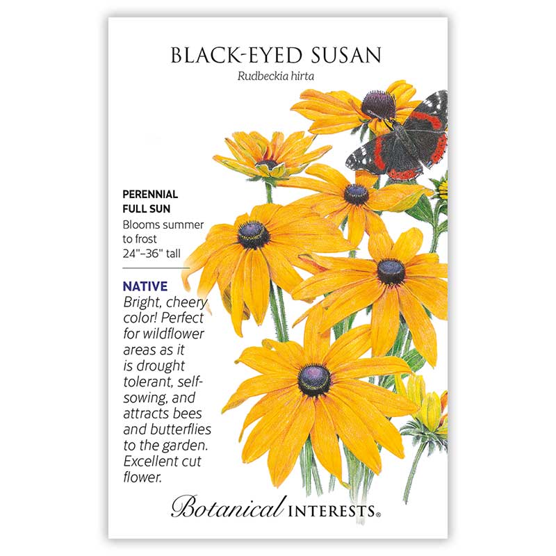 Botanical Interests Black-Eyed Susan seed packet illustrating vivid orange-yellow Rudbeckia hirta blooms with dark centers and a red admiral butterfly, with text noting it's a native, drought-tolerant perennial for full sun, blooming summer to frost at 24"–36" tall.