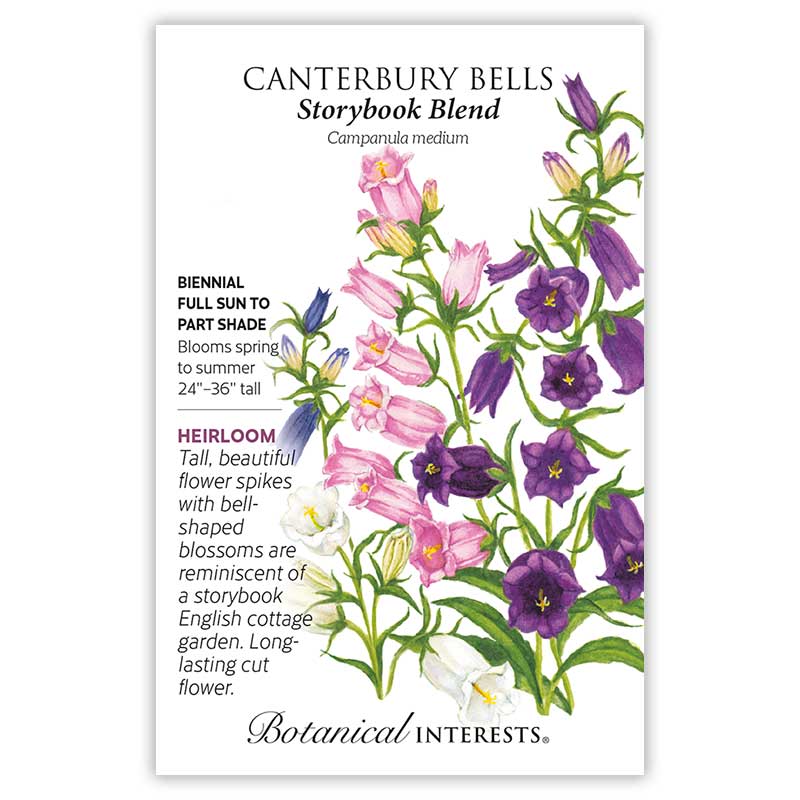 Seed packet for Storybook Blend Canterbury Bells illustrating tall bell-shaped flower spikes in pink, purple, and white, with printed text noting it's a biennial, full sun to part shade, blooming spring to summer, 24-36 inches tall, and suited for cut flowers.