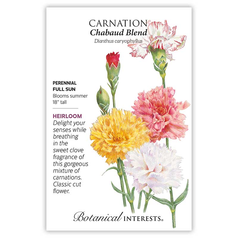 Seed packet for Chabaud Blend Carnation featuring a botanical illustration of ruffled double blooms in yellow, pink, white, and red-streaked white with buds and green stems, plus text noting it's a heirloom perennial for full sun, blooming 18 inches tall in summer with a sweet clove fragrance.