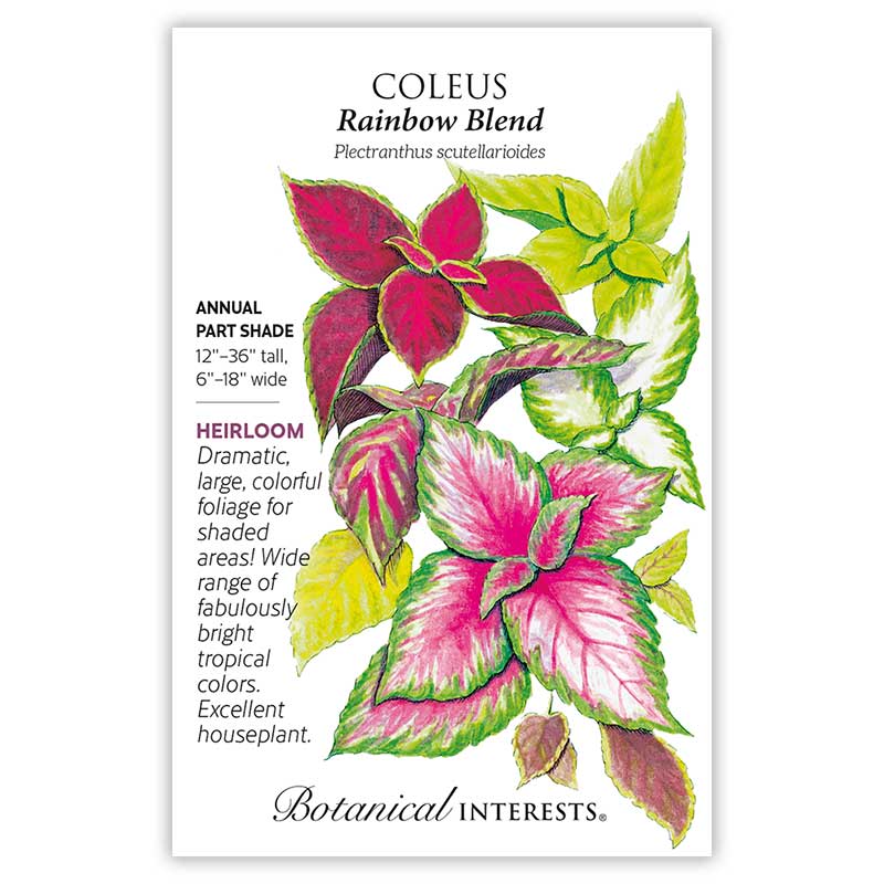 Seed packet for Coleus Rainbow Blend with illustration of colorful leaves and botanical information
