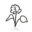 Simple black-and-white line drawing of a young columbine seedling, showing a lobed leaf atop a slender stem with two rounded cotyledon leaves, labeled "Seedling."