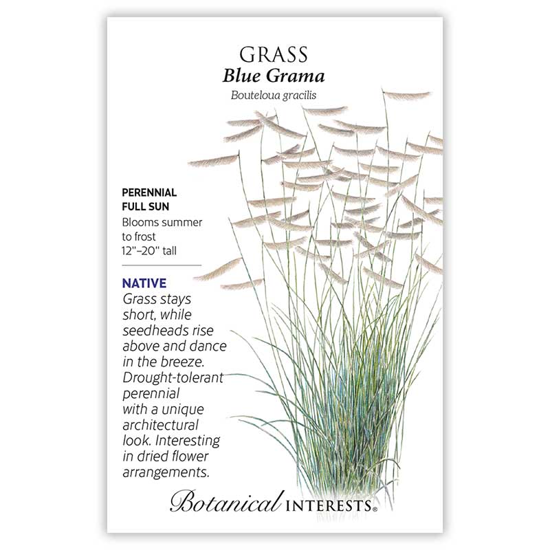 Seed packet for Blue Grama grass illustrating a clump of fine green blades topped with distinctive horizontal, comb-like tan seedheads, with text noting it's a native, drought-tolerant perennial growing 12–20 inches tall in full sun, blooming summer to frost.