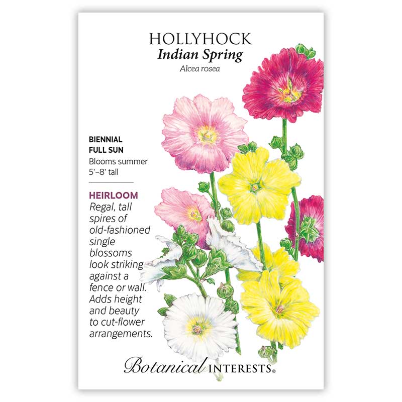 Seed packet for Indian Spring Hollyhock (Alcea rosea) featuring an illustration of large single blooms in pink, magenta, yellow, and white with green foliage, alongside text noting it's a biennial, full-sun plant growing 5-8 feet tall that blooms in summer.