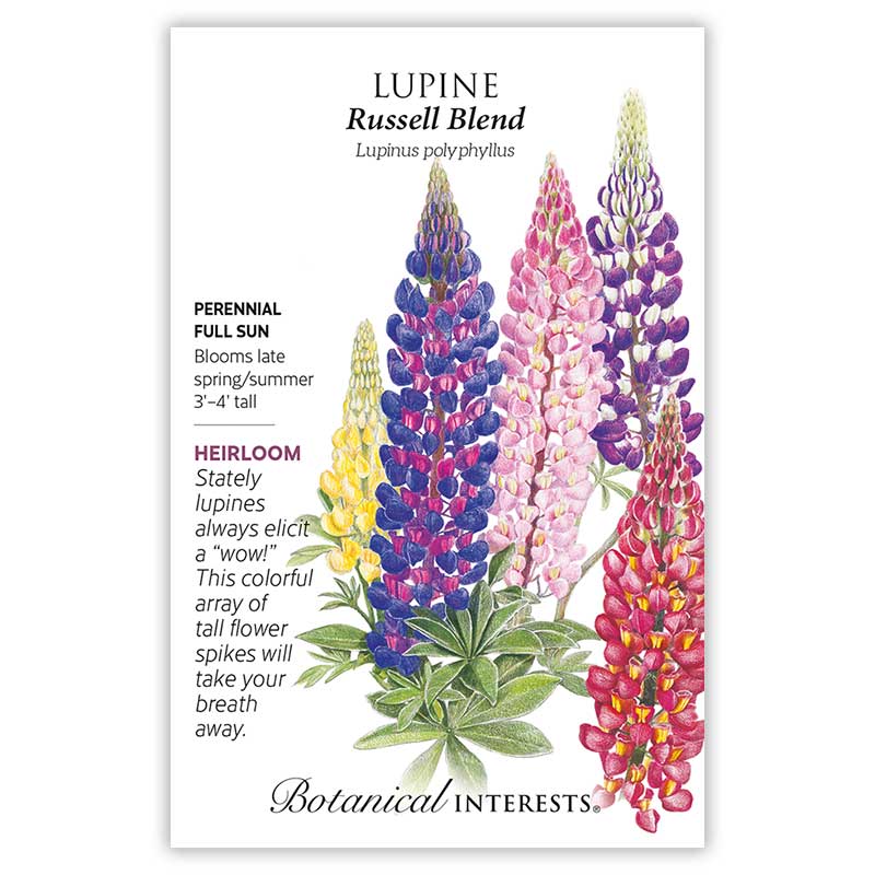 Seed packet for Russell Blend Lupine featuring an illustration of tall flower spikes in yellow, blue, pink, purple, and red, with text noting it's a perennial, full sun, heirloom variety blooming late spring to summer at 3'–4' tall.