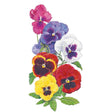 Botanical illustration of Swiss Giants Blend pansy flowers, showing seven large ruffled blooms in pink, purple-blue, white, yellow, and red with dark velvety centres, arranged with green leaves against a plain white background.